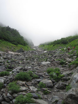 大樺沢