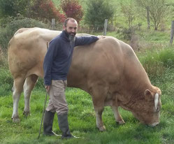 Blonde d'Aquitaine 79 Mauléon qualité produits fermiers boeuf bio à l'herbe