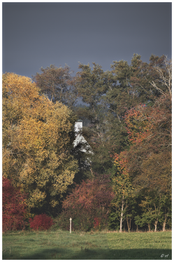 Versteckt: Ein Blick auf die St. Nikolauskirche von Brigachtal-Überauchen