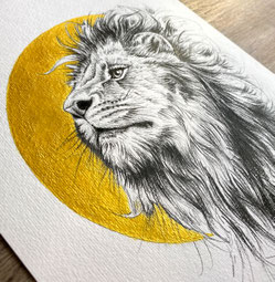 pencil drawing lion panthera leo | Bleistift Zeichnung Löwe in Gold | Sandra Mahn