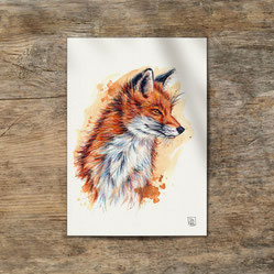 watercolor watercolour painting drawing red fox Vulpes vulpes | Aquarell Zeichnung Gemälde Rotfuchs Fuchs | Sandra Mahn