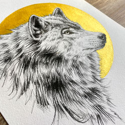 pencil drawing wolf canis lupus | Bleistift Zeichnung Wolf in Gold | Sandra Mahn