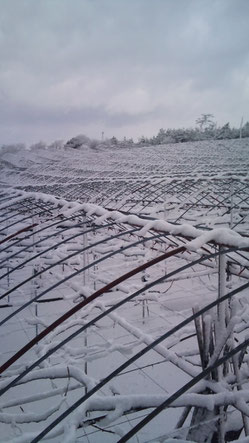 雪国石川