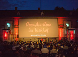 Das Open-Air-Kino im Viehhof (Foto: © 2015 A.U.G.E. - Massimo Fiorito)
