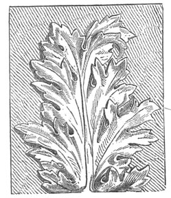 Akanthusblatt.
