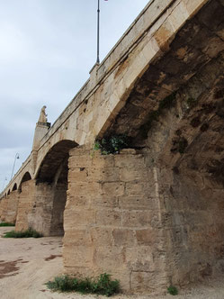 Puente histórico del antiguo cauce del rio Turia
