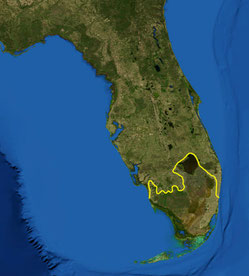 LAGE DER EVERGLADES