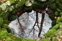 Bien-Être, Moselle, Soin énergétique, EFT, équilibre, ancrage, relaxation, méditation, coaching, diagnostic lieu de vie, guidance chemin de vie, prestation, découverte, mieux-être