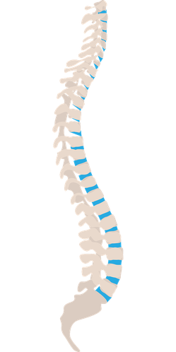 Praxis für ärztliche Osteopathie Hamburg