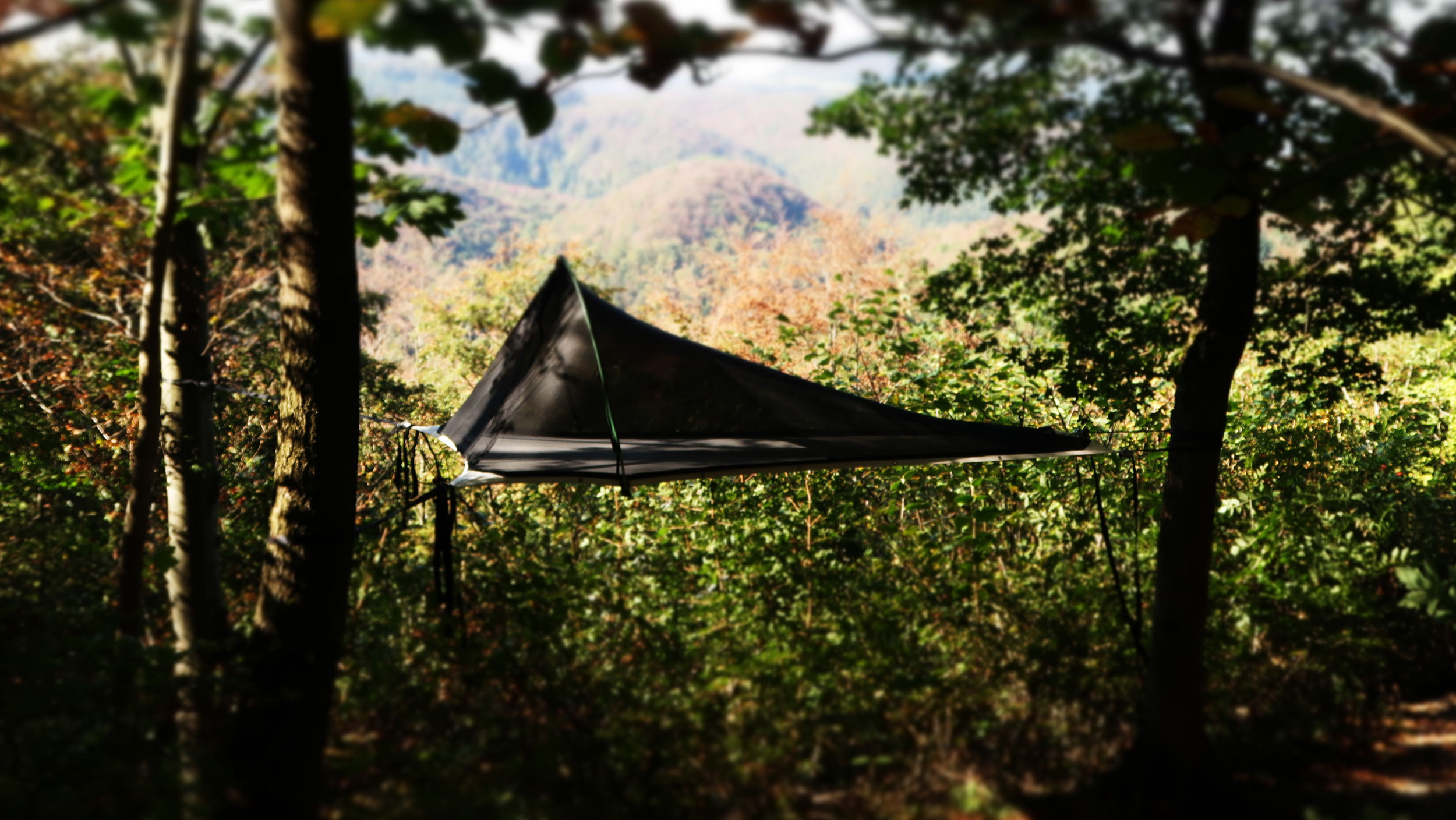 Download Spruch waldbaden For Android