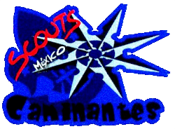 Resultado de imagen para scouts comunidad
