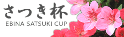 海老名さつき杯