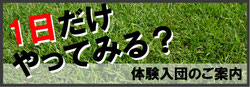 体験入団
