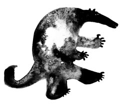 A la recherche de l'Atlantide