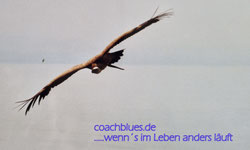 coachblues.de - Heilpraktikerin beschränkt auf Psychotherapie