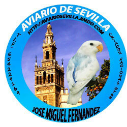 Página web de aviariodesevilla
