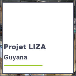 projet Liza