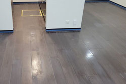 シリコン フロアコーティング 施工前