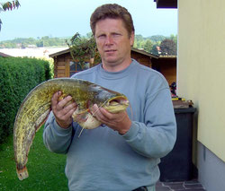 Kurt Zitzmann, August 2010, 80cm (Donau)
