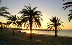 blaue Stunde an der Playa der Palma