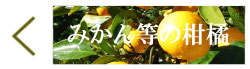 広島県江田島市産　産直野菜
