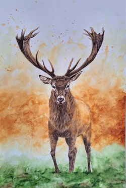 Esprit de corps, aquarelle, papier 61x91cm, 2025