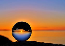 Ursula Potts