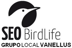 Página web de seo-vanellus