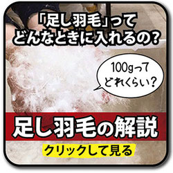 足し羽毛の解説ページへ内部リンク