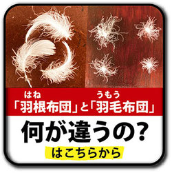 羽根布団と羽毛布団の違いへのリンク画像