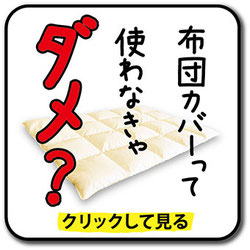 布団カバー使わなきゃダメへのリンク画像