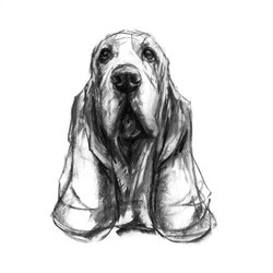 derbassets.jimbo.com