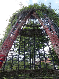 Marienmantel (wachsender Meditationsraum aus Weiden)