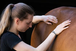 Pferdeosteopathie, osteopathische Behandlung am Pferd
