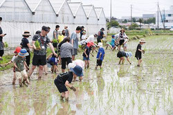 田植え(1年生)