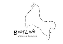 beutlinss Webseite!