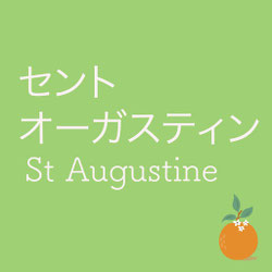 緑色の背景に「セントオーガスティン St Augustine」と白字で書かれたデザイン画像。右下にはオレンジの実と葉のイラストが描かれ、歴史ある街とフロリダらしさを象徴している。
