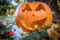 Content für Halloween ausgestochener Kürbis zum Gesichtfür Kerze