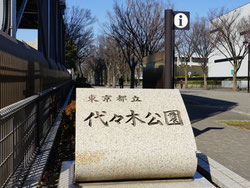 代々木公園