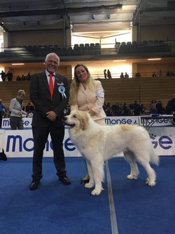 Echo de'Chien Escuda pour Garcon BOB by judge Gunnar Nymann, Denmark