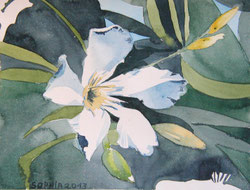 Soeur Agnes 2013