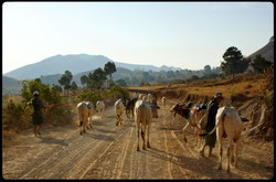Reise ab Chiang Rai (Thailand) nach Myanmar zu den ethnischen Minderheiten im Shan Staat.
