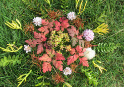 Natur-Kreativ-Workshops mit Gerlinde Lüftenegger