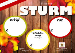 Sturm & Most - Plakat - Steirer Rudi Weghofer - winzerclub.at - Sturmzeit 