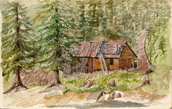 Nr. 4231 Alte Säge