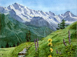 Jungfrau, Printemps dans les Alpes