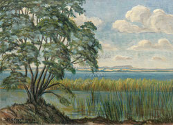 Nr. 4210 Landschaft bei Lübstorf