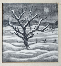 Nr. 3934 Obstbaum im Winter
