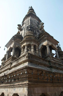 nepal the roaming lioness travel adventure occupational therapist