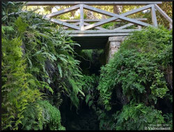 En los Jardines de Monforte, hay un puente de madera que cruza una pequeña cascada en donde  se ha formado una pequeña laguna con peces de colores.